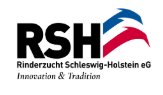 Rinderzucht Schleswig-Holstein